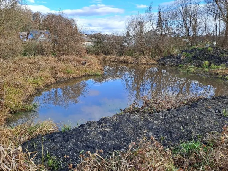Ein kleiner Teich, umgeben von trockenem Gras und Bäumen unter einem teilweise bewölkten Himmel.