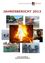 Eine Collage von Feuerwehrszenen aus dem Jahr 2013 zeigt einen Feuerwehrwagen, Feuerwehrleute im Einsatz, ein großes Feuer und eine Trainingsübung. Der Titel 'JAHRESBERICHT 2013' ist prominent angebracht.