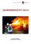 Das Bild zeigt ein Feuer, das von zwei Feuerwehrleuten gelöscht wird. Der Text darüber lautet 'JAHRESBERICHT 2015'.