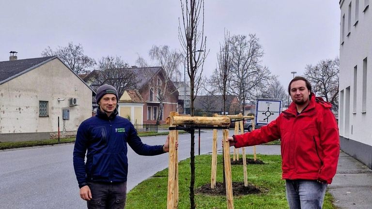 Zwei Männer stehen neben einem frisch gepflanzten Baum und lächeln. Sie tragen Jacken mit Logos. Hinter ihnen steht eine Straße mit Häusern und kahlen Bäumen. Ein Schild befindet sich auf dem Rasen.
