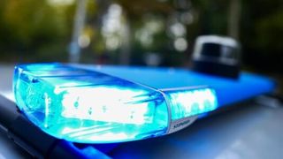 Nahaufnahme des blauen Lichtbalkens eines Polizeiwagens, der gegen einen verschwommenen Hintergrund von Bäumen blinkt.