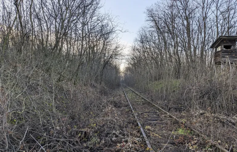 An abandoned railway track, surrounded by dense, leafless trees. The track extends into the distance, where sunlight filters through the branches.