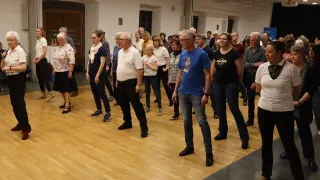 Eine Gruppe von Erwachsenen in verschiedenen Kleidungsstücken versammelt sich in einem Saal für eine Tanzveranstaltung. Sie stehen in einer Reihe und sehen sich gegenseitig an. Einige von ihnen tragen Brillen. Der Saal hat einen Holzboden und eine weiße Wand.