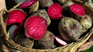 Ein geflochtener Korb, gefüllt mit frisch geschnittenen Roten Rüben, die ihre leuchtend rote Farbe und erdige Textur zeigen.