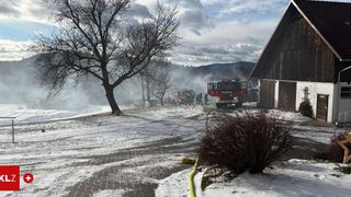 Feuerwehrleute bekämpfen einen Brand in einem Stall an einem verschneiten Tag. Rauch steigt aus dem Gebäude auf, und mehrere Feuerwehrwagen sind in der Nähe geparkt.