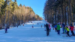 Eine Skipiste umgeben von Bäumen, mehrere Menschen sind an einem klaren Tag beim Skifahren. Einige stehen in der Nähe der Bäume.