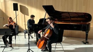 Three musicians are playing instruments inside a room. The man in the middle is playing the cello while the man behind him plays the piano. The woman is playing the violin.
