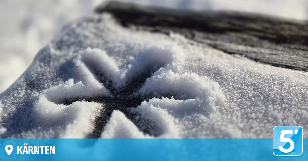 Eine Nahaufnahme eines sternförmigen Musters aus Schnee auf einer dunklen Oberfläche, mit einer blauen Linie am unteren Rand.