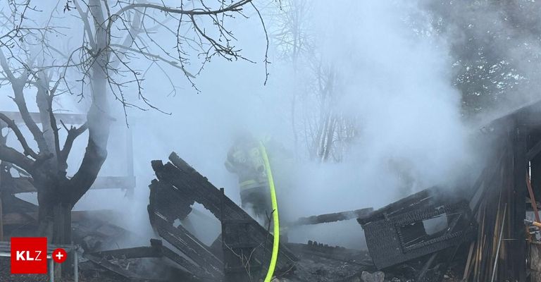 Ein Feuerwehrmann versucht, ein Feuer in einem bewaldeten Gebiet zu löschen, umgeben von Rauch und verkohlten Überresten.