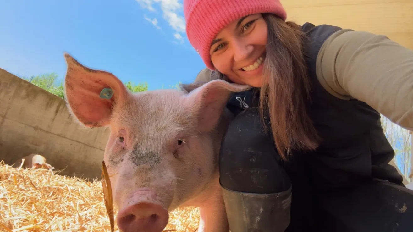 Eine Frau mit einer rosa Mütze lächelt und hält ein weißes Schwein an einem sonnigen Tag. Das Schwein hat eine rosa Nase und steht auf Heu.