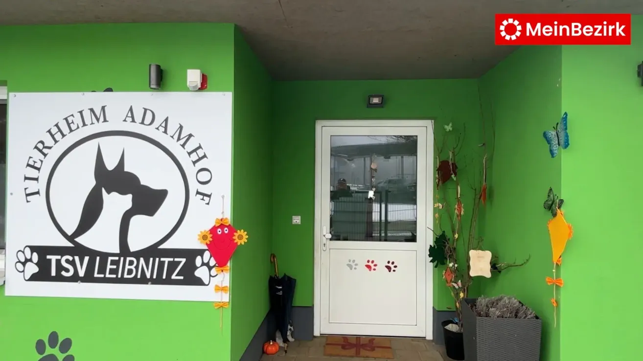 Eine grüne Eingangswand mit Logo, einer geschlossenen weißen Tür mit Pfotenabdrücken und einer dekorativen Pflanze rechts.