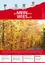 Plakat für eine Herbstwanderung am 26. Oktober 2018. Bäume mit Herbstlaub säumen die Straße. Ein roter Rand umrahmt das Bild mit Text in Weiß.