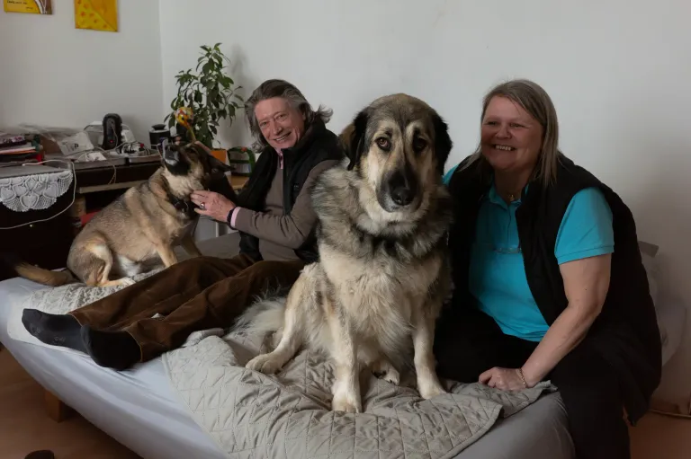 Zwei Menschen und zwei Hunde sitzen auf einem Bett. Der Mann lächelt und streichelt einen Hund. Die Frau lächelt und schaut in die Kamera.