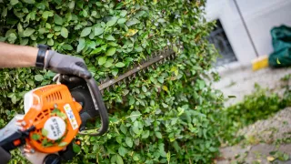 Eine Person in Handschuhen schneidet einen Hecken mit einer Kettensäge. Die Hecke ist dicht mit grünen Blättern und Zweigen.