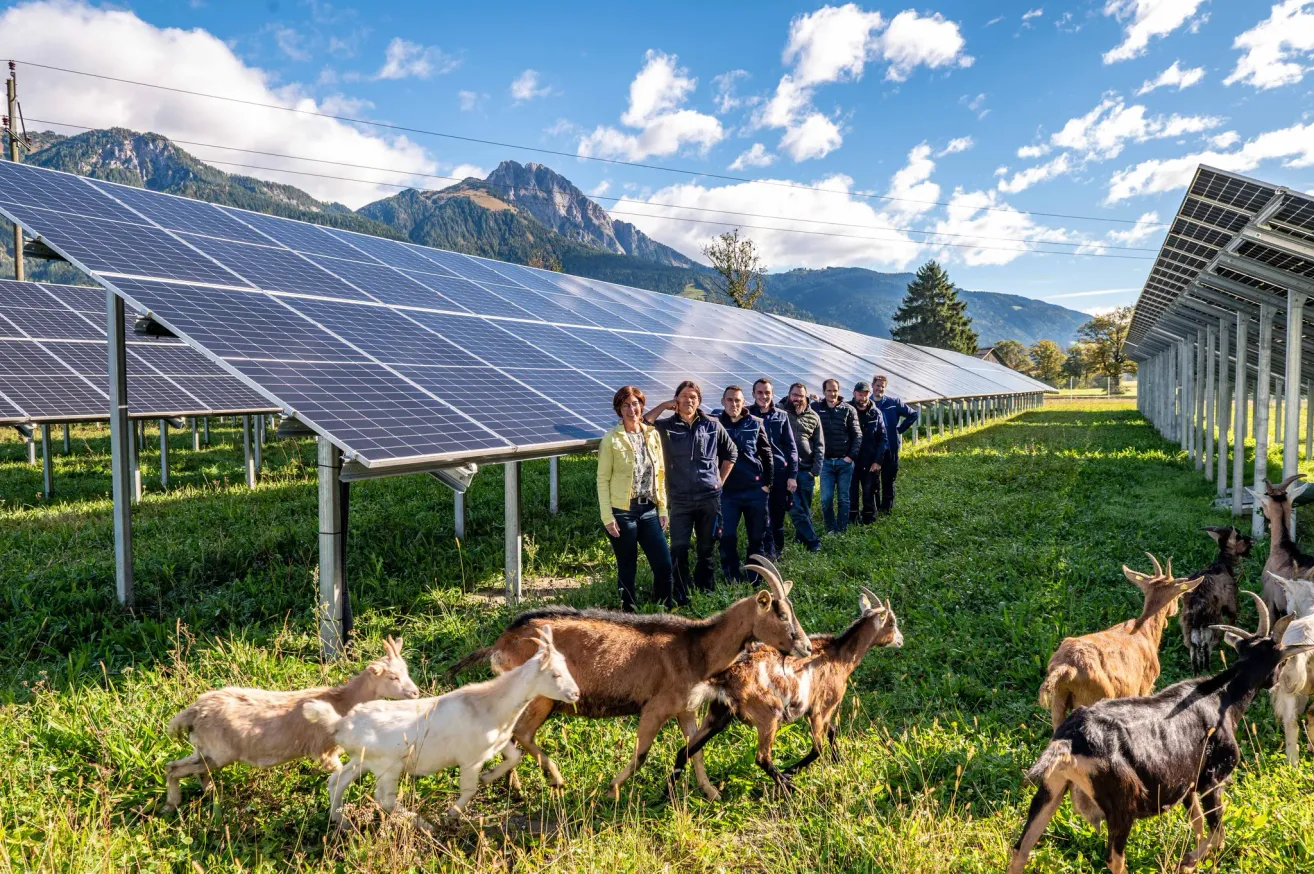 Eine Gruppe von Menschen steht vor Solarmodulen, während mehrere Ziegen im Vordergrund grasen. Der Ort ist eine üppige, grüne Wiese mit Bergen im Hintergrund.