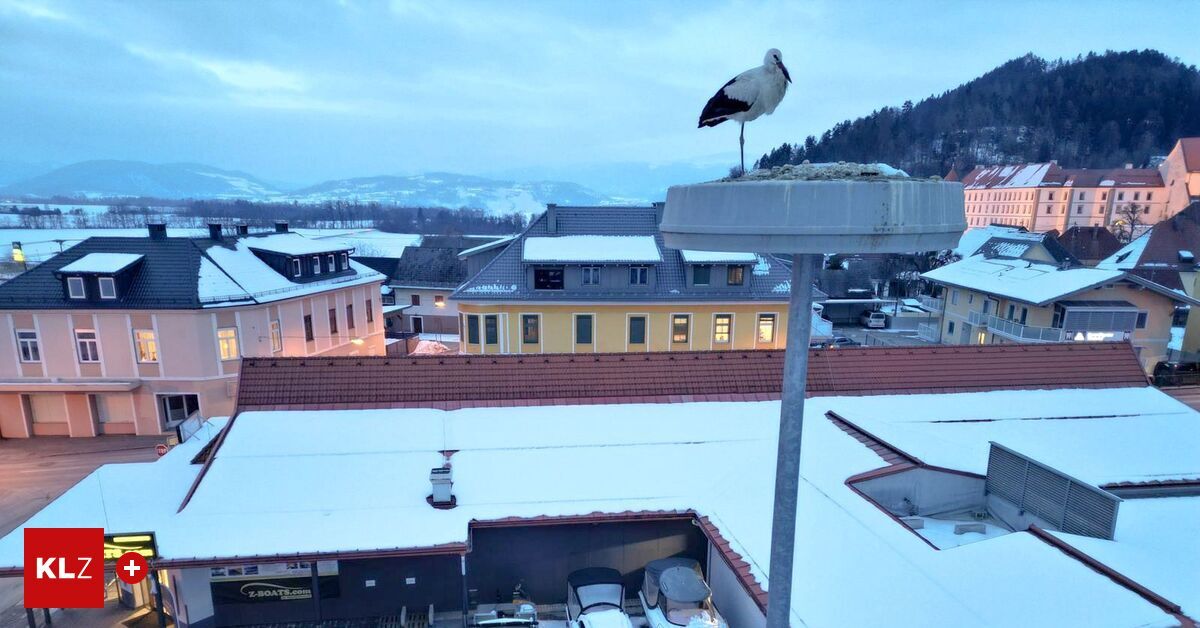 Ein Storch steht auf einer mit Schnee bedeckten Straßenlaterne. Die Laterne befindet sich in der Nähe eines Gebäudes mit einem roten Dach. In der Nähe gibt es weitere Gebäude, einige mit Schnee auf den Dächern. Berge sind in der Ferne sichtbar.
