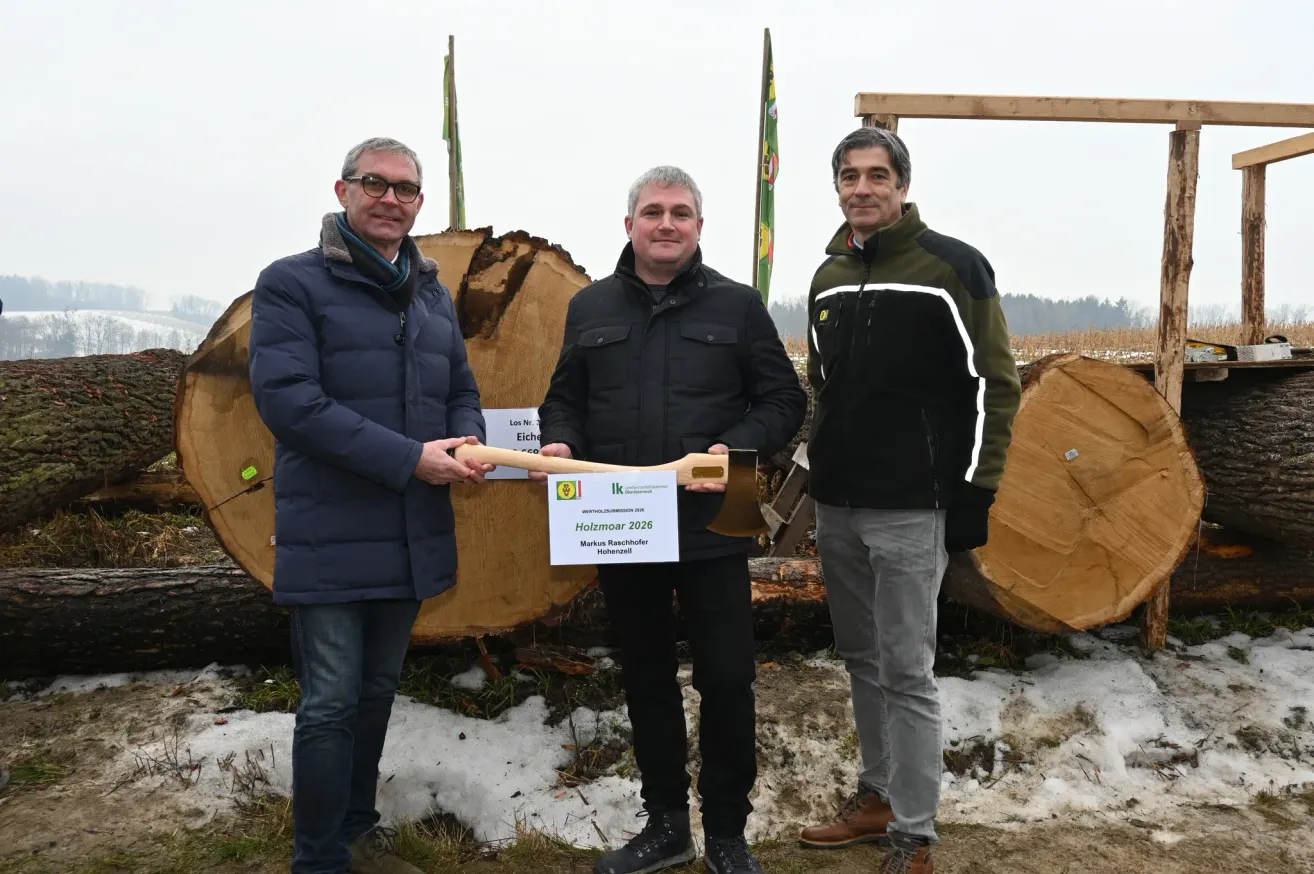 Drei Männer stehen vor geschnittenen Baumstämmen. Sie halten eine große Holzaxt und ein Zertifikat. Sie lächeln und scheinen für ein Foto zu posieren.