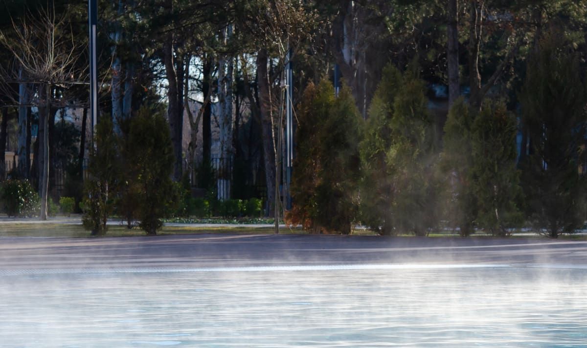 Eine neblige Morgenszene zeigt eine nasse Straße, umgeben von hohen Bäumen, mit einem Gebäude im Hintergrund sichtbar.