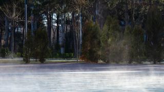 Eine neblige Morgenszene zeigt eine nasse Straße, umgeben von hohen Bäumen, mit einem Gebäude im Hintergrund sichtbar.