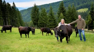 A woman and a man are smiling in a field with several black cows, a fence, and a forested mountain in the background.