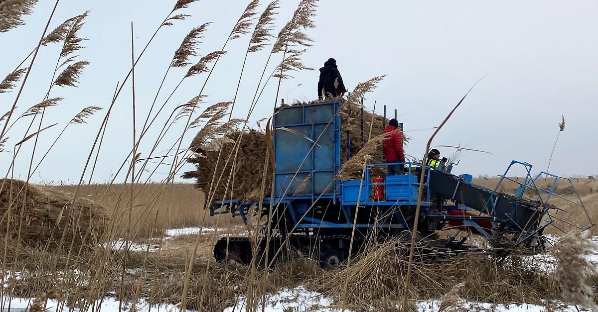 A blue machinery vehicle is loaded with hay in a snowy field. Two people are on it, one standing on top.