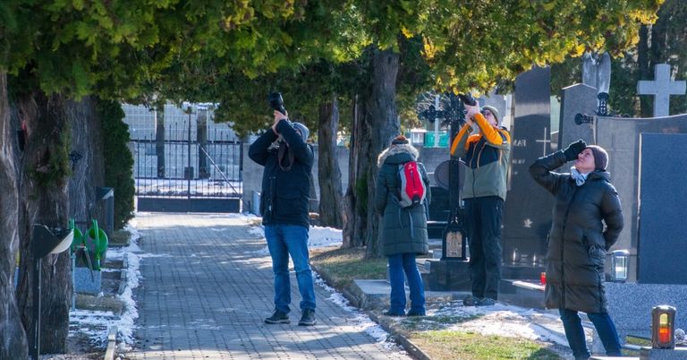 Drei Menschen fotografieren auf einem verschneiten Friedhof, umgeben von Bäumen und einem schwarzen Tor.