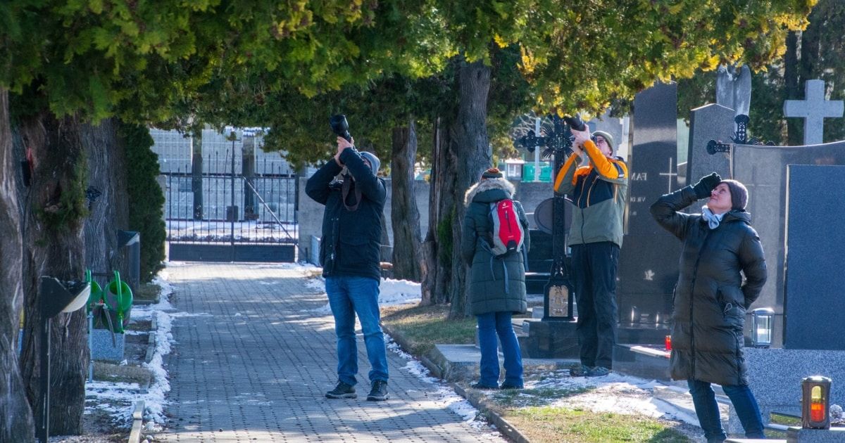 Drei Menschen fotografieren auf einem verschneiten Friedhof, umgeben von Bäumen und einem schwarzen Tor.