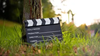A clapperboard is placed on the grass next to a tree trunk. The board reads Hollywood, Production, Director, and Camera.