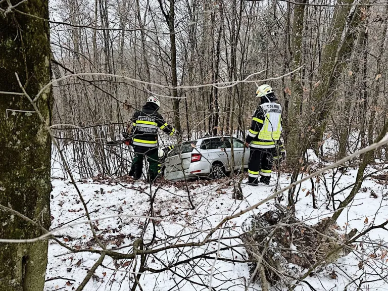 Zwei Feuerwehrleute in Schutzkleidung stehen in der Nähe eines weißen Autos, das in einen Wald gecrasht ist, umgeben von Schnee und Bäumen.