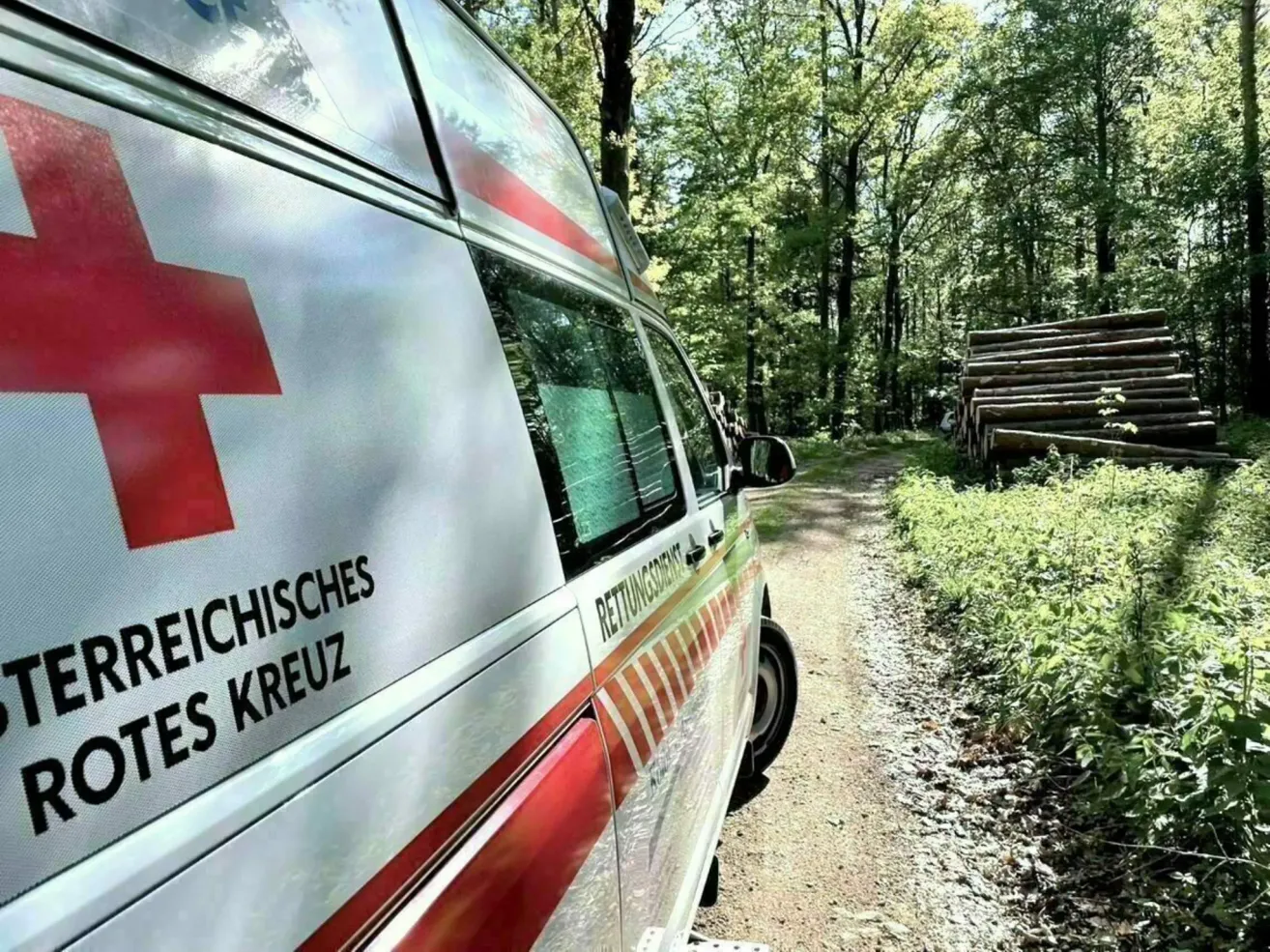An ambulance is parked on a dirt road surrounded by green trees and a pile of wood. The word Rettungsdienst is visible on the side.