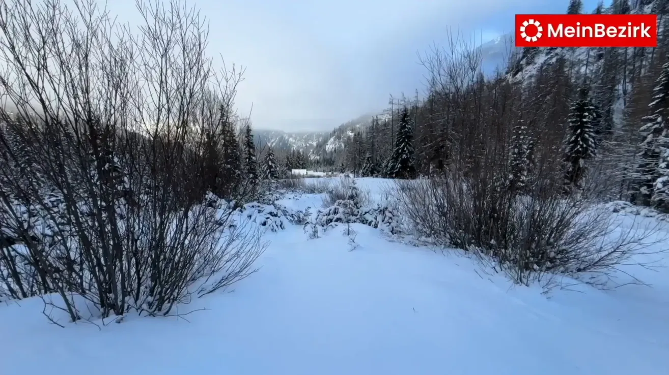 A snowy landscape with trees and bushes covered in snow, a mountain in the background, and a cloudy sky.