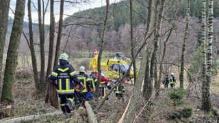 Firefighters in yellow uniforms, wearing helmets, are walking through a forest with a yellow helicopter behind them.
