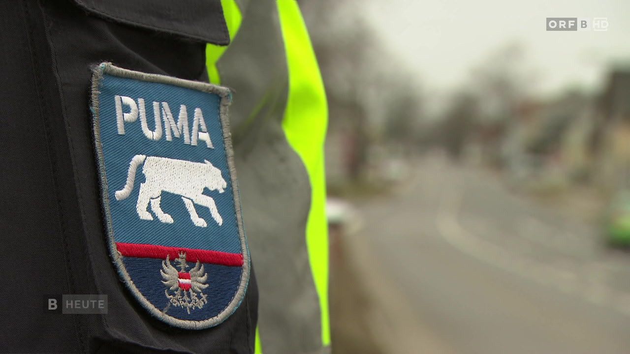 A police officer's uniform patch displays 'PUMA' and a stylized lion. It has a blue background, red border, and the Austrian coat of arms.