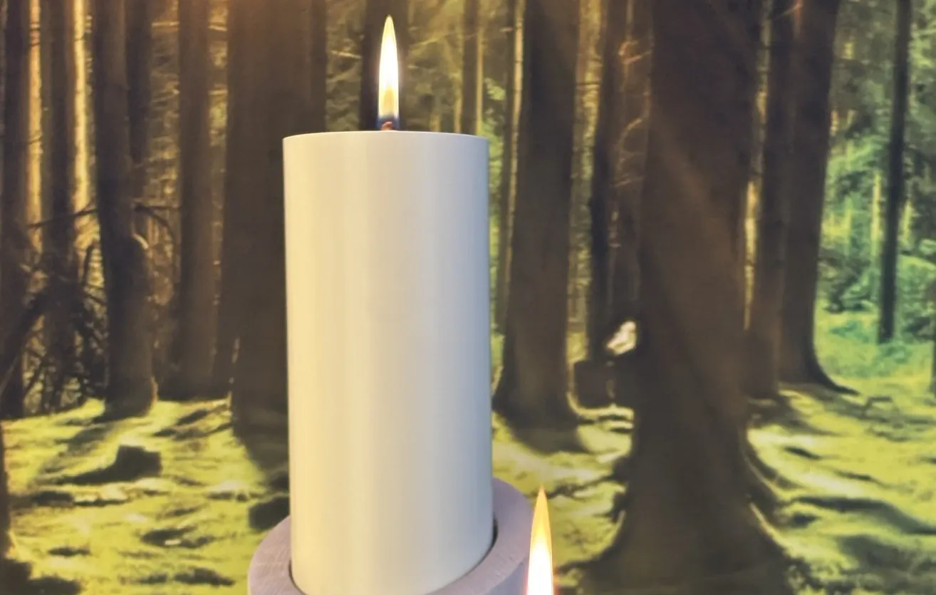 A white candle with a lit flame stands tall against a backdrop of a dense forest, with another candle partially visible at the bottom.