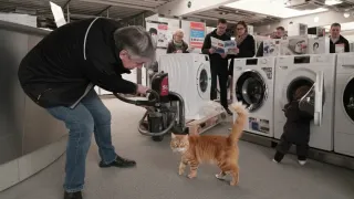 A man vacuums the floor in a store with washing machines, while an orange cat walks by. Behind him, others read brochures and stand near the appliances.