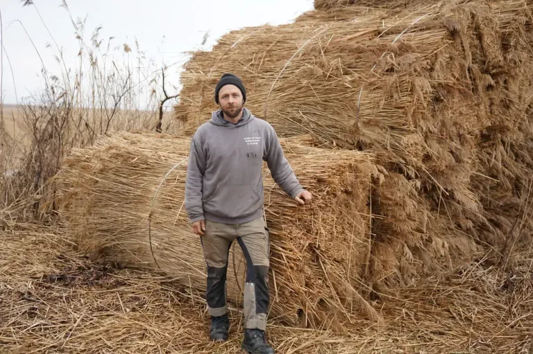 Ein Mann steht vor einem großen Haufen getrockneter Stroh, trägt eine graue Kapuzenjacke und Khakihosen. Er berührt das Stroh mit seiner rechten Hand.