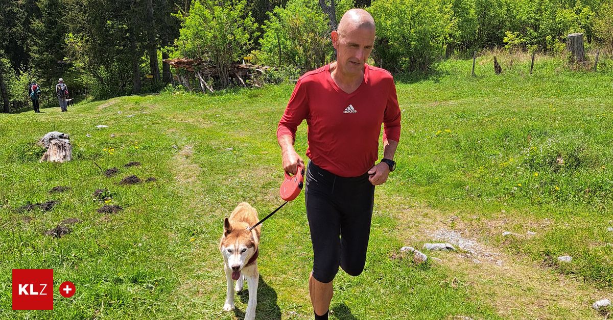 Ein Mann joggt auf einer Wiese mit einem sibirischen Husky. Er trägt ein rotes Adidas-Shirt, schwarze Shorts und eine Uhr. Der Hund trägt ein Halsband und folgt ihm an der Leine.