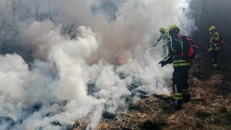 Zwei Feuerwehrleute in Schutzausrüstung bekämpfen einen Waldbrand und nutzen Werkzeuge, um die Flammen und den Rauch in einem bewaldeten Gebiet zu kontrollieren.