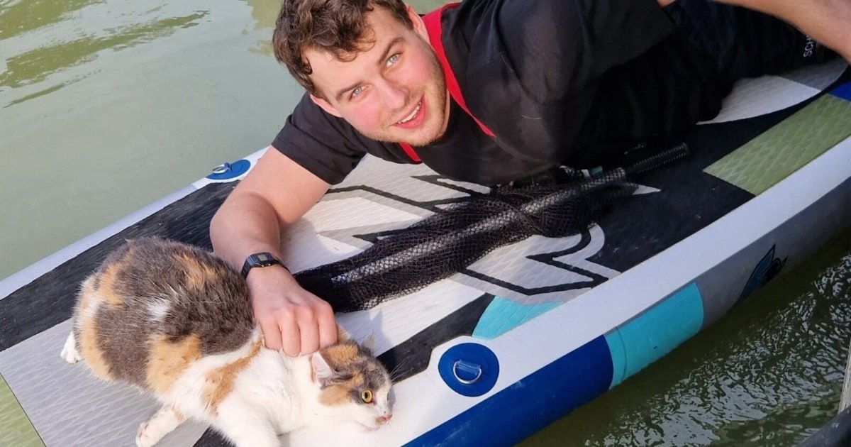 Ein Mann liegt auf einem Paddleboard, lächelt und streichelt eine Katze mit drei Farben. Die Katze sitzt auf dem Brett und schaut in die Kamera. Das Brett hat schwarze und blaue Designs.