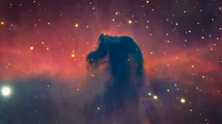 Ein Nebel mit einer Silhouette eines Bären in der Mitte, umgeben von Sternen und kosmischem Staub, mit einer lebendigen Mischung aus roten, blauen und lila Farben.