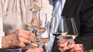 Mehrere Personen in formeller Kleidung heben ihre mit einer hellen Flüssigkeit gefüllten Weingläser, vermutlich Weißwein, zum Anstoßen.