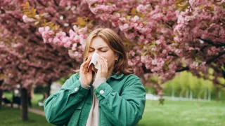 Eine Frau in einer grünen Jacke schnäuzt sich unter einem Kirschblütenbaum.