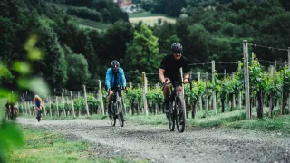 Two cyclists ride on a gravel path through a vineyard. Both wear helmets and cycling gear. The one in front wears black, the other blue. The vineyard is surrounded by green trees.