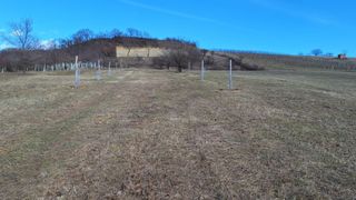 An open field with sparse vegetation, surrounded by trees and a hill in the background. The sky is clear with a few clouds.