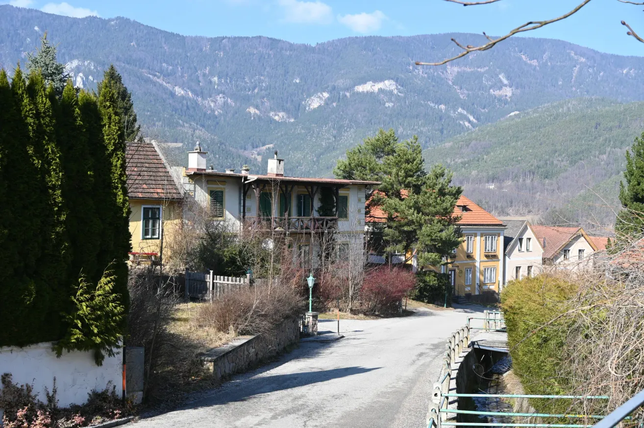 A street lined with houses, some with balconies, against a backdrop of forested mountains.