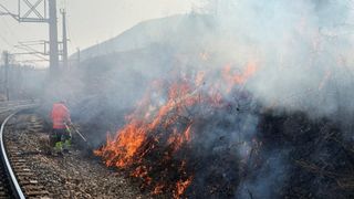 A wildfire burns through a wooded area, with flames engulfing dry branches and producing a lot of smoke.