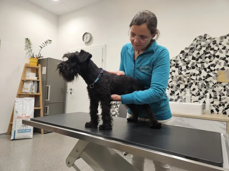 A woman in a blue jacket is holding a black dog on a table in a room with a tiled wall and a refrigerator.