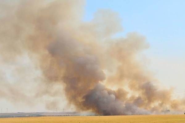 Ein großer Brand brennt durch ein Feld, wobei Rauch in den Himmel aufsteigt und einige Strommasten am Horizont zu sehen sind.