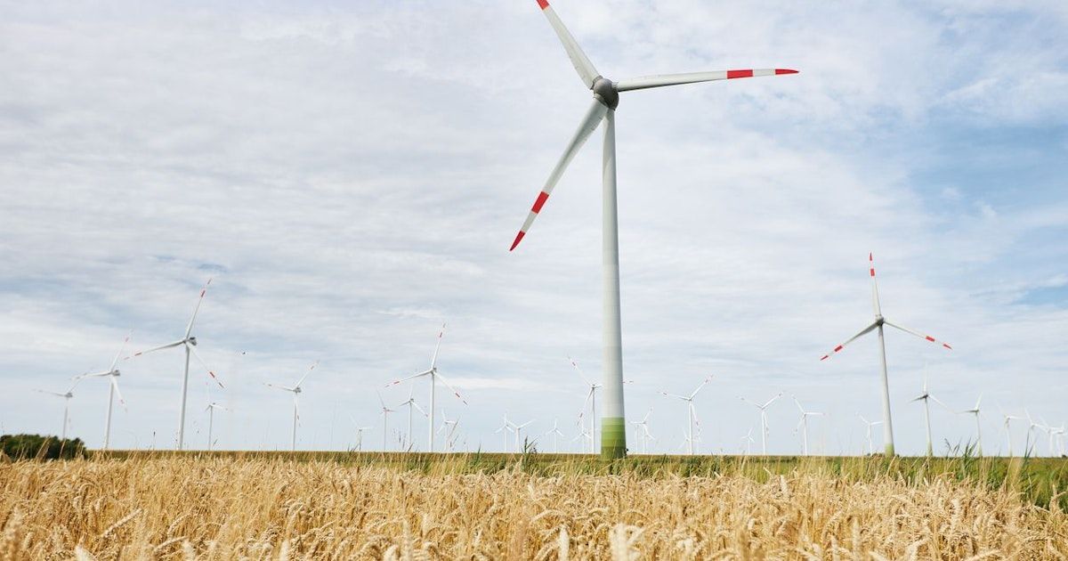 Ein Weizenfeld mit mehreren Windturbinen im Hintergrund. Die Windturbinen haben ein rotes und weißes Design.