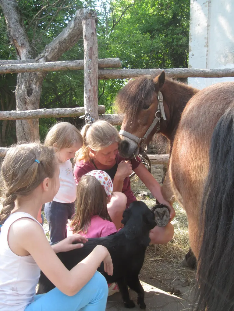 Eine Frau und vier Kinder sind in einem eingezäunten Bereich mit einem Holzzaun in der Nähe eines Ponys und einer Ziege.